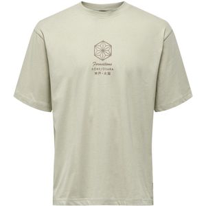 ONLY & SONS ONSMALIK LIFE RLX SS TEE Heren T-shirt - Silver Lining Osaka