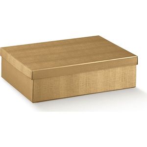Geschenkdoos, cadeaudoos met deksel karton GOUD, 30x20x10cm (10 stuks)