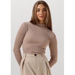 Rosemunde Boston Turtleneck W/ Lurex Dames - Topjes - Beige - Maat XL