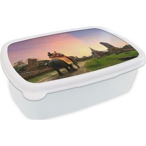 Broodtrommel Wit - Lunchbox - Brooddoos - Rijden op een olifant - 18x12x6 cm - Volwassenen
