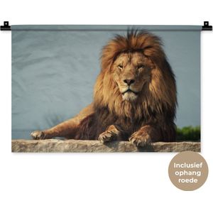 Wandkleed Leeuwen - Rustende leeuw op een rotsblok Wandkleed katoen 60x40 cm - Wandtapijt met foto