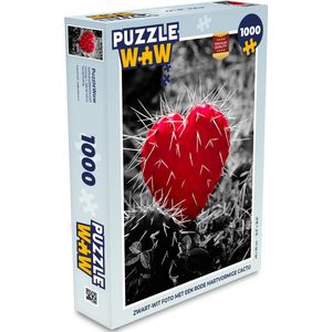 Puzzel Zwart-wit foto met een rode hartvormige cactus - Legpuzzel - Puzzel 1000 stukjes volwassenen