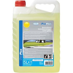 Pro Plus Ruitensproeiervloeistof - Ruitschoon Zomer Kant & Klaar - 5 liter