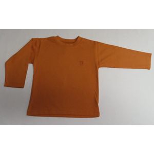 Trui - T-Shirt me lange mouw - Effen Oranje - Unie - 2 jaar 86