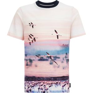 WE Fashion - T-shirt - Regular Fit - Katoen - Jongens - Met Dessin