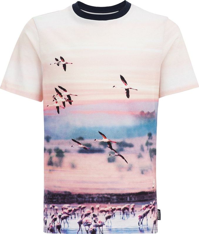 WE Fashion - T-shirt - Regular Fit - Katoen - Jongens - Met Dessin