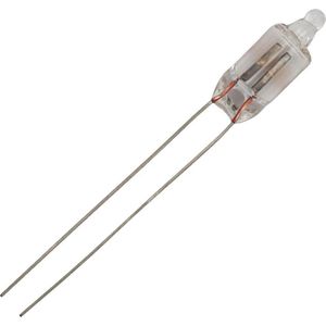 Schiefer - Draaduiteinde Neonlamp - 65V/95V - 6x13mm