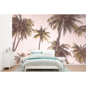Palmbomen - Groen - Zon - Natuur - Behangpapier