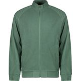 Cars Cydes sw halfzip black -