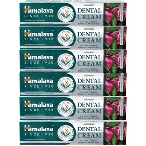 Himalaya Ayurvedic Dental Cream with Natural Fluoride - 6 x 100g - Voordeelverpakking - Tandpasta - Ayurvedische Kruidentandpasta met Fluoride voor Gezonde Tanden en Tandvlees
