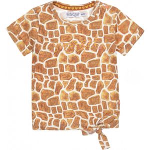 Dirkje - T-shirt - Sunset - Giraffe - Camel - Maat 56