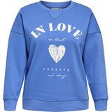 ONLY CARMAKOMA - CARSOFIA WORD O-NECK SWT JRS - Dames - Sweaters