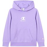 Champion Sweatshirt Met Capuchon - Sportwear - Kind