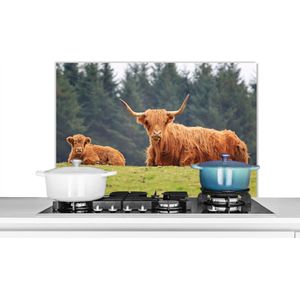 Spatscherm keuken 80x55 cm - Kookplaat achterwand Schotse Hooglanders - Gras - Bos - Muurbeschermer - Spatwand fornuis - Hoogwaardig aluminium