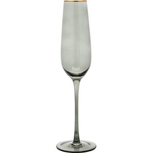 Vikko Décor Platinum Collectie - Champagne Glazen - Set van 6 Champagne Coupe - Flutes - Grijs met Goud rand