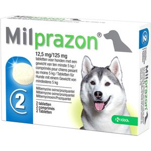 Milprazon Hond Groot 2 tabletten