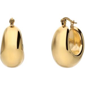 Lucardi Dames Stalen goldplated oorringen - Oorbellen - Staal - Goudkleurig