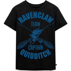Harry Potter Ravenclaw Quidditch Premium T Shirt Kinderen