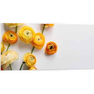 PVC Schuimplaat- Gele Bloemen op Witte Achtergrond - 100x50 cm Foto op PVC Schuimplaat
