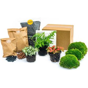 Planten terrarium pakket - Varen - 3 terrarium planten - Ecosysteem plant - Startpakket - Navulling - DIY Ecosysteem Planten Set | Inclusief Planten - Substraat - Terrarium potgrond - Bolmos - Actieve kool - Handleiding en tips | urbanjngl