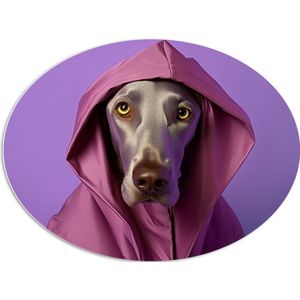 PVC Schuimplaat Ovaal - Portret van Bruine Duitse Dog Hond in Roze Regenjas - 96x72 cm Foto op Ovaal (Met Ophangsysteem)