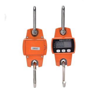 JGS Premium - Digitale Hangweegschaal met 6614 lb Capaciteit van Gegoten Aluminium Behuizing - Nauwkeurig Wegen - Makkelijk Af te Lezen Display - Thuisgebruik en Commercieel Gebruik - Veelgevraagd