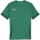 PUMA teamGOAL Matchday Jersey Heren Sportshirt - Sport Green-PUMA Wit-Power Green - Maat S