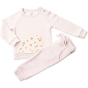 Frogs and Dogs - Joggingpak s - Roze - Maat 68 - Meisjes