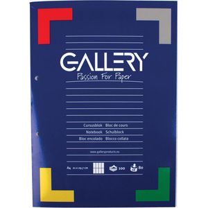 1x Gallery cursusblok, ft A4, 80 g/m², 2-gaatsperforatie, commercieel geruit, 100 vel