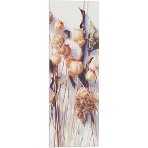 Vlag - Stapel Gedroogde Bloemen met Schaduw tegen Witte Achtergrond - 20x60 cm Foto op Polyester Vlag
