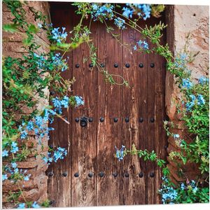 PVC Schuimplaat - Blauwe Bloemetjes Groeiend bij Houten Deur - 80x80 cm Foto op PVC Schuimplaat (Met Ophangsysteem)