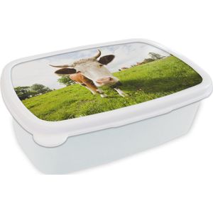 Broodtrommel Wit - Lunchbox - Brooddoos - Koe - Licht - Schaduw - 18x12x6 cm - Volwassenen