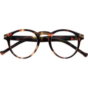 INY Leesbril Frankie Havana +3.00