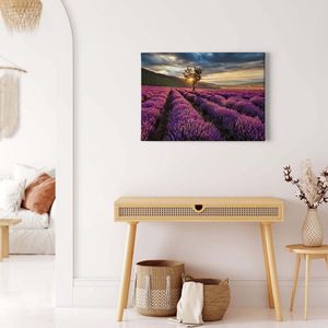 Canvas print DD123111 LavenderFields A.S. Création 0,7 x 0,5 m Paars Kantoor Hal/Gang Keuken Slaapkamer Woonkamer
