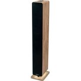 Thomson - Bluetooth Luidsprekertoren - Zwart - 120 W