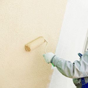 verfroller / Paint Roller Brush Set