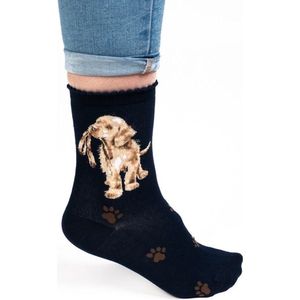 Wrendale Sokken - Hond (Blauw) - 'Hopeful' Labrador Socks