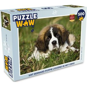 Puzzel Sint Bernard puppie liggend in het gras - Legpuzzel - Puzzel 500 stukjes