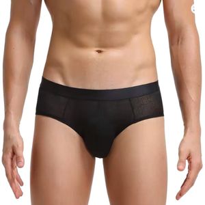 Heren Slip Transparant - Slip Doorzichtig Zwart - Sexy Mesh Design - Mannen Onderbroek - Lingerie Voor Mannen - Ondergoed Maat L
