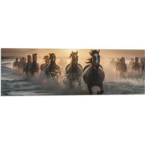 Vlag - Vooraanzicht van Kudde Galopperende Paarden in de Zee - 90x30 cm Foto op Polyester Vlag