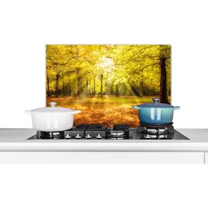 KitchenYeah - Spatscherm - Keuken spatwand - Bossen - Landschap - Natuur - Keuken - 70x50 cm - Spatwand - Spatscherm gasfornuis - Achterwand keuken - Muurbeschermer
