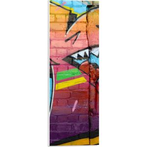 PVC Schuimplaat- Muurschildering met Grafitti in Meerdere Kleuren - 20x60 cm Foto op PVC Schuimplaat
