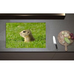 Inductieplaat Beschermer - Baby Goffer Komt uit de Grond - 80x52 cm - 2 mm Dik - Inductie Beschermer - Bescherming Inductiekookplaat - Kookplaat Beschermer van Zwart Vinyl