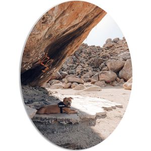 WallClassics - PVC Schuimplaat Ovaal - Servicehond in de Schaduw onder Rots - 51x68 cm Foto op Ovaal (Met Ophangsysteem)