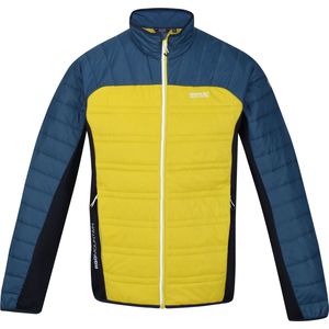Regatta Heren Halton V Vest Dark Tang / Moonlite Maat M