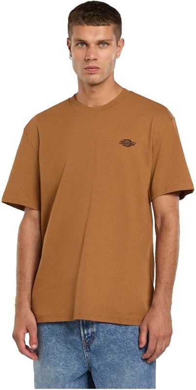 Dickies Summerdale T-shirt Met Korte Mouwen Bruin S Man
