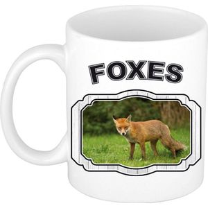 Dieren bruine vos beker - foxes/ vossen mok wit 300 ml