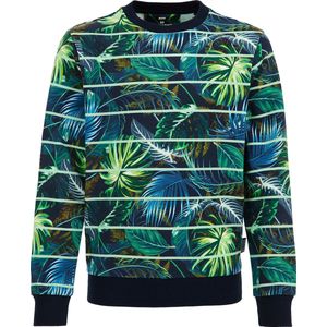 WE Fashion Jongens sweater met dessin