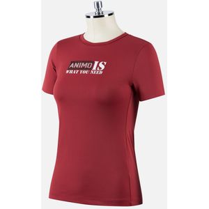 Animo T-Shirt Fray Dames M Beige
