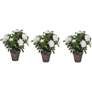 3x Groene Azalea kunstplant witte bloemen 27 cm in pot stan grey - Kunstplanten/nepplanten